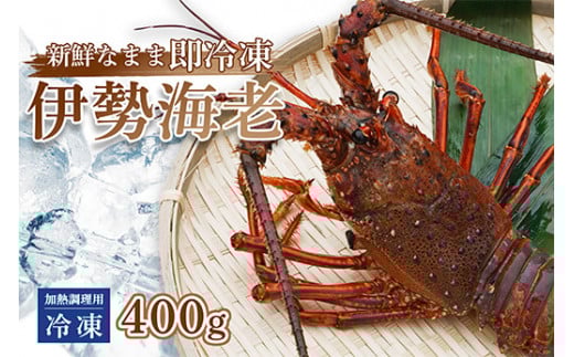 伊勢海老 ( 冷凍 ) お味噌汁用 約 400g エビ えび 家庭用 訳あり 加熱用