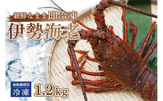 伊勢海老 ( 冷凍 ) お味噌汁用 約 1.2kg エビ えび 家庭用 訳あり 加熱用