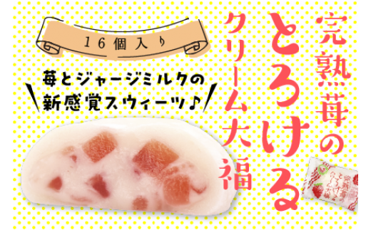 完熟苺 の とろける クリーム 大福 ( 16個入り ) 大福 いちご イチゴ クリーム お菓子 甘い とろける スイーツ