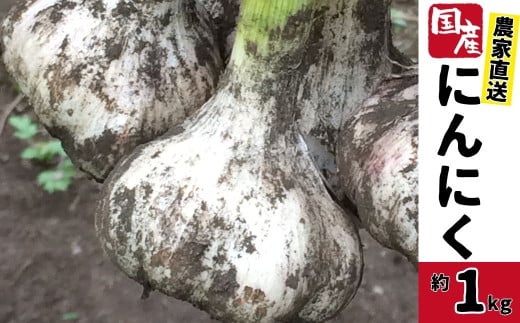 A93001 農家直送 鹿児島県産 にんにく(約1kg) 鹿児島 国産 にんにく ニンニク 大蒜 野菜 ガーリック 薬味【悠希農園】