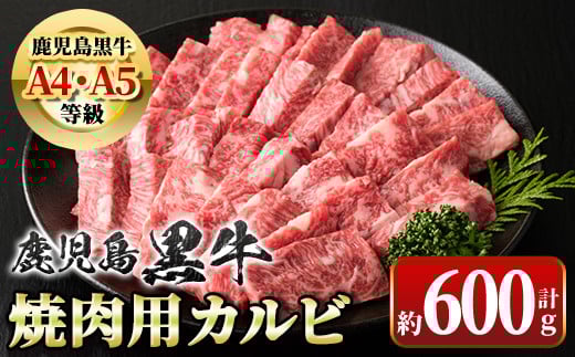 A01018 《期間限定》＜A4・A5等級＞鹿児島黒牛カルビ焼肉用(約600g)鹿児島 国産 九州産 黒毛和牛 牛肉 カルビ 和牛日本一 牛肉専門店 A4 A5 等級 焼肉 バーベキュー BBQ ギフト 贈答【新村畜産】