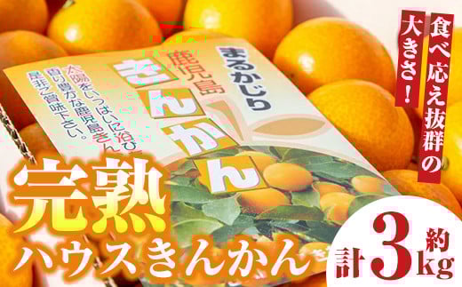A18004 ＜先行予約受付中！2026年2月下旬に収穫ができ次第順次発送予定＞肝付町産 完熟ハウスきんかん(約3kg×1ケース)鹿児島 国産 フルーツ 果物 柑橘 金柑 きんかん 果汁 ギフト お歳暮【JA鹿児島きもつき高山支所】