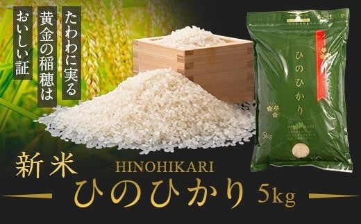 <先行受付>2023年度　鹿児島県産　新米　ひのひかり（5kg）　チャック・持ち手付き 新米 5kg 送料無料 ひのひかり ヒノヒカリ チャック付き 農家直送 【瑞ひかり】