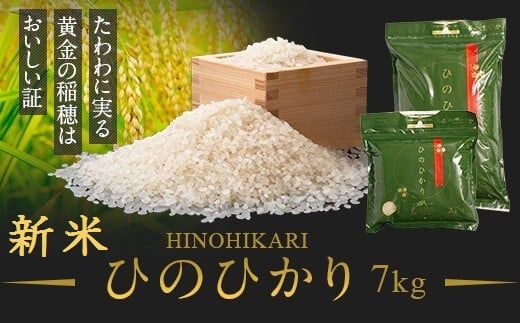 <先行受付>2023年度　鹿児島県産　新米　ひのひかり（7kg）　チャック・持ち手付き 新米 鹿児島 国産 九州産 白米 お米 こめ コメ ごはん ご飯 農家直送 ひのひかり ヒノヒカリ チャック付き【瑞ひかり】