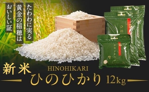 <先行受付>2023年度　鹿児島県産　新米　ひのひかり（12kg）　チャック・持ち手付き 新米 鹿児島 国産 九州産 白米 お米 こめ コメ ごはん ご飯 農家直送 ひのひかり ヒノヒカリ チャック付き【瑞ひかり】