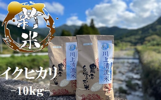 【数量限定】川上清流米（10kg）鹿児島 国産 お米 こめ コメ 白米 ごはん ご飯 イクヒカリ いくひかり【やまびこ館】