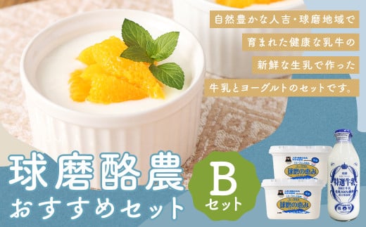 球磨酪農おすすめセットB(瓶牛乳&ヨーグルト加糖×2個) 瓶牛乳900ml×1個 ヨーグルト加糖1kg×2個 合計約2.9kg 瓶牛乳 球磨のめぐみ 球磨の恵み ヨーグルト 冷蔵 乳製品 お取り寄せ 九州 人吉市