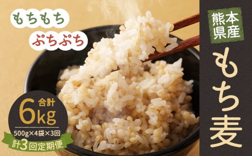 【定期便年3回】 熊本県産 もち麦 合計6kg