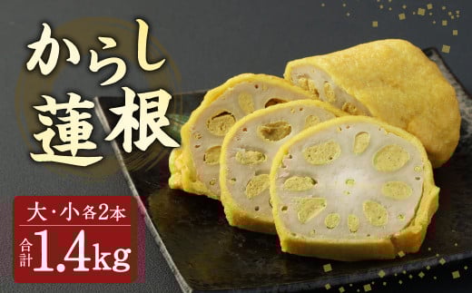 熊本県人吉市産 からし蓮根  大・小 2本 セット