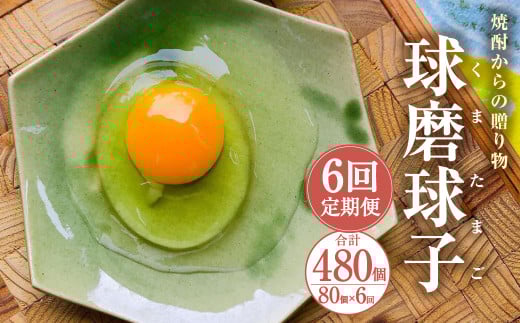 【定期便6回】球磨球子 80個×6回 合計480個 鶏卵 卵 玉子 たまご くまたまご（破損保証有り）