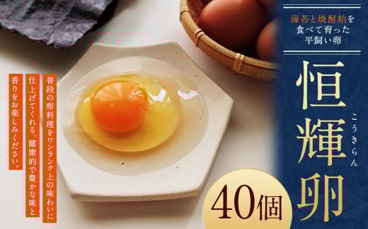 海苔と焼酎粕を食べて育った 平飼い卵「恒輝卵」40個 こうきらん 卵 たまご 玉子 お取り寄せ（破損保証有り）