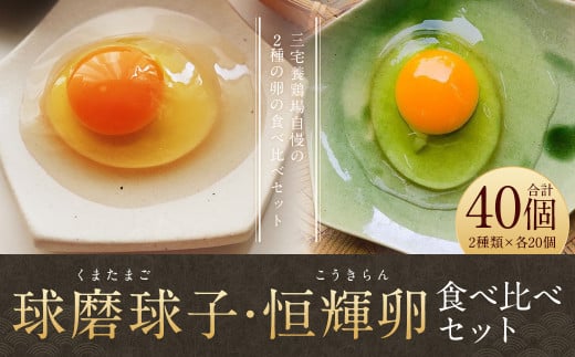 「球磨球子」「恒輝卵」各20個　計40個の食べ比べ 2種 くまたまご こうきらん 卵 たまご 玉子 お取り寄せ（破損保証有り）