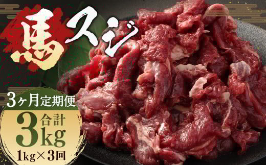 【 3ヶ月 定期便 】 馬スジ 1kg （ 500g × 2パック） 合計 3kg 冷凍 肉 お肉 馬肉 馬 スジ肉 スジ 煮込み 煮物 熊本