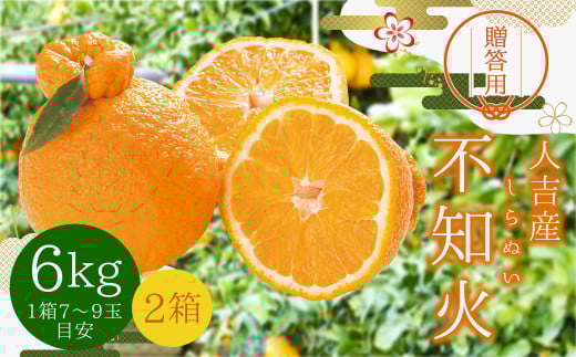 【贈答用】人吉産 不知火 (しらぬい) 6kg フルーツ 果物 くだもの 柑橘 デコポン でこぽん お取り寄せ【2025年12月下旬発送予定】