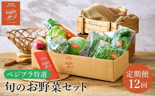 旬の新鮮なお野菜を産地直送!ベジプラ特選 旬の野菜セット【定期便:12回 毎月お届け】 / 野菜 詰め合わせ セット 野菜セット 新鮮 ギフト やさい 苦みが少ない 甘みが強い Veggie de+