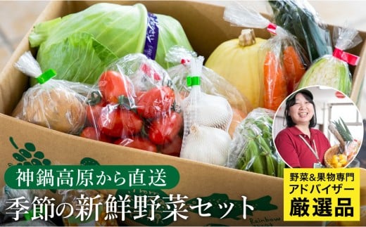 「高原の畑から直送」神鍋高原 季節の新鮮お野菜 詰め合わせセット 充実の5~10品|ベジタブル&フルーツアドバイザーがセレクト【兵庫県北部豊岡市にある「道の駅神鍋高原」からお届けします】