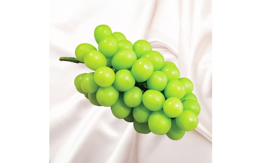 豊岡ぶどう シャインマスカット 約2kg / 豊岡ブドウ 産地直送 糖度が高い 濃厚 甘味 上品な香り 歯切れの良い 皮ごと 食べられる 減農薬 シャイン マスカット ぶどう ブドウ 葡萄 果物 くだもの フルーツ ふくい農園