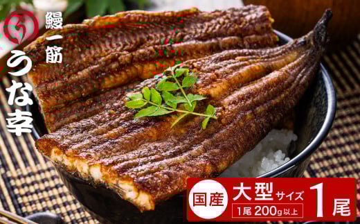鰻一筋「うな幸」のふわとろ蒲焼き[“国産"特大1本入り]たれ付き