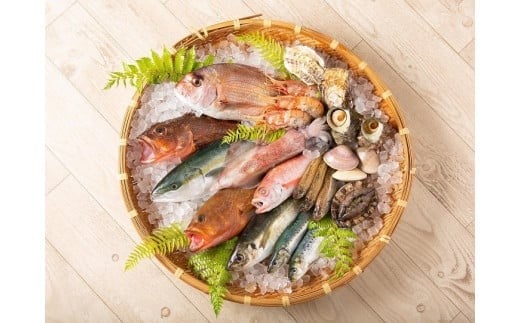 【城崎温泉おけしょう鮮魚】季節の海の幸セット 約2人前