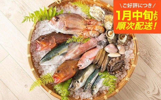 【城崎温泉おけしょう鮮魚】季節の海の幸セット　約4人前