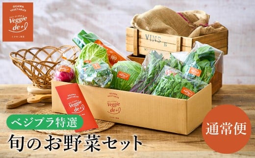 旬の新鮮なお野菜を産地直送!ベジプラ特選 旬の野菜セット【1回お届け 】 / 野菜 詰め合わせ セット 野菜セット 新鮮 ギフト やさい 苦みが少ない 甘みが強い Veggie de+