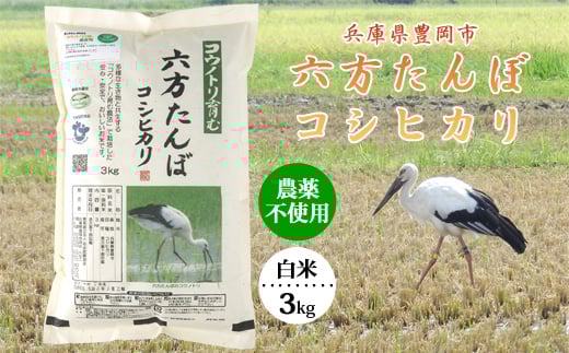 六方たんぼ コシヒカリ 農薬不使用(白米:3kg)令和6年産 / 新米 米 お米 精米 コシヒカリ コウノトリ育む農法