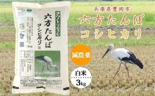 六方たんぼ コシヒカリ 減農薬(白米:3kg)令和6年産 / 新米 米 お米 精米 コシヒカリ コウノトリ育む農法