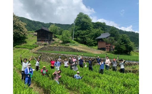 地域振興・観光・まちづくり・防災・環境保全に関する事業