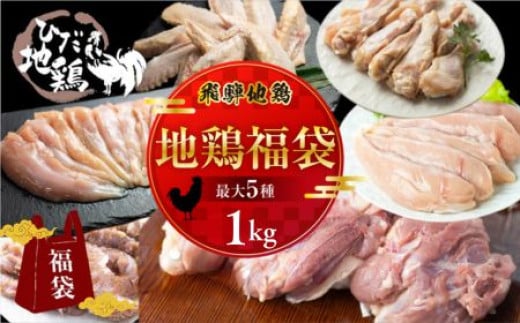飛騨地鶏 お楽しみ福袋 合計1kg 鶏肉 小分け 福袋 飛騨地鶏 地鶏 モモ肉 手羽先 手羽元 ささみ  鶏肉 飛騨 10000円 1万円