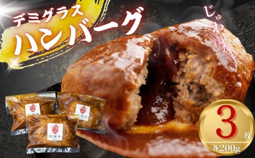 《簡易包装》飛米牛入りデミグラスソースハンバーグ 200g×3枚 簡単調理 温めるだけ 湯煎 レトルト 冷凍