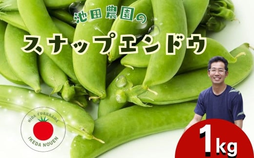 [先行予約]＼シャキシャキ プリプリ/ 採れたて スナップエンドウ 1kg 令和7年産 飛騨産 国産 スナップえんどう 旬 旬もの 産地直送 野菜 2025年産 [6月上旬〜6月下旬発送]飛騨市 池田農園 10000円 1万円 [Q2944.Q2945]