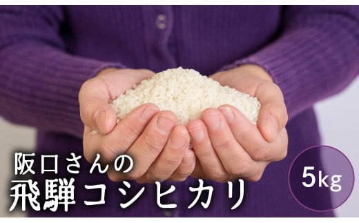 特別栽培米 令和7年産 飛騨産 コシヒカリ 5kg 単品 米 新米 阪口農園 特A こしひかり 阪口農園 米 白米 こめ コメ ごはん 飛騨市 5キロ 14000円[Q1839_25]