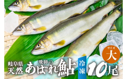 《先行予約》2025年産 飛騨 天然鮎 大サイズ 10尾 天然 アユ 鮎 岐阜県 室田名人 宮川下流 飛騨のあばれ鮎 高級料亭御用達 急速冷凍 冷凍 あゆ 魚 天然 川魚  50000円 5万円