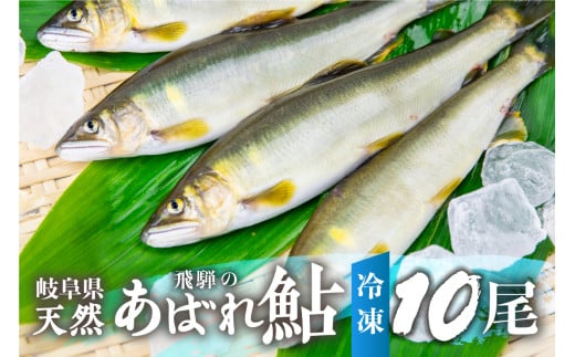 2025年産 飛騨 天然鮎 中サイズ 10尾 天然 アユ 鮎 選べる内容量 岐阜県 室田名人 宮川下流 飛騨のあばれ鮎 高級料亭御用達 急速冷凍 冷凍 あゆ 魚 天然 川魚 [Q2177_25] 32000円
