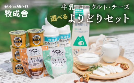 [牧成舎]乳製品福袋 牛乳・ヨーグルト・チーズ 飛騨産生乳で作るこだわりのセット 乳飲料 乳製品 ヨーグルト チーズ モッツァレラチーズ 飲むヨーグルト 牧成舎 アイス ピザ プリン スイーツ 惣菜 飛騨市 [B0096_stch]