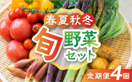 【4回定期便】飛騨の四季のお野菜 旬定期便 4回お届け 産直市から直送! 飛騨産 旬の新鮮 野菜セット (5~6品)