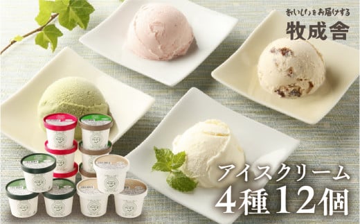 飛騨のミルクの旨みたっぷりアイスクリーム　12個セット  クリスマス おすすめ アイス 抹茶 バニラ いちご ラムレーズン スイーツ デザート