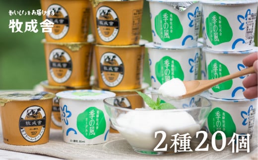 飛騨の牛乳屋こだわり　食べるタイプのヨーグルト２種類盛沢山20個セット 乳製品  ヨーグルト 飛騨市