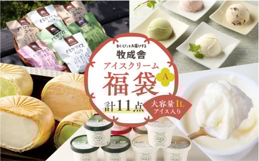 訳あり≪牧成舎≫飛騨のミルクの旨味たっぷりアイスクリーム福袋セット 味お任せ アイス アイスクリーム 国産 飛騨市 生乳 人気 おすすめ 冷凍 飛騨市