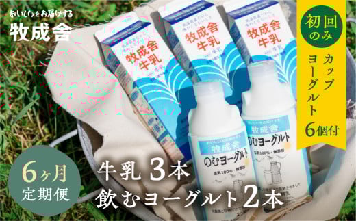 《牧成舎》飲むヨーグルト＆牛乳 毎月1回×6ヶ月お届け定期便  低温殺菌牛乳 3本 無添加 飲むヨーグルト 2本 飛騨産生乳100%使用