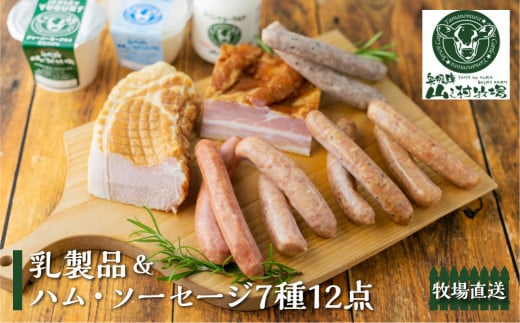 牧場直送 ソーセージと乳製品のスタンダードな詰め合わせ「天空Ａセット」 山之村牧場
