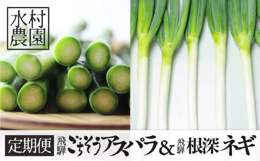 アスパラ&ネギ4回定期便 水村農園 飛騨産 旬の野菜