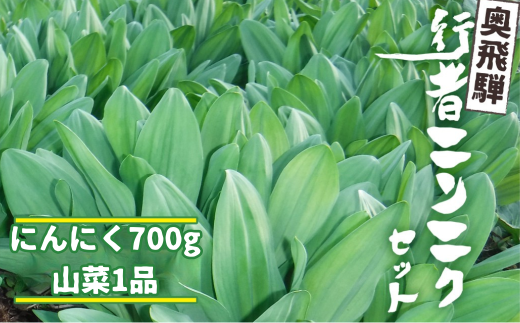 《先行予約》選べる内容量 奥飛騨産とれたて新鮮 生行者ニンニク 700g , 山菜1品 行者ニンニク 行者にんにく 醤油漬け 【4月下旬～5月上旬発送】12000円 [Q655xch]