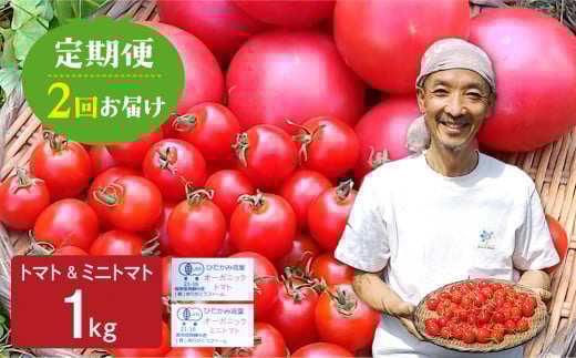 [2回定期便]コクと旨味のあるトマト・ミニトマト 1kg 2回 定期便 野菜 有機栽培 受賞農家 無農薬栽培 国産 常温 おかず 惣菜 野菜 定期便 飛騨市 15000円 時間指定可