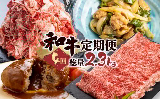 「和牛定期便」定期便 4回 お楽しみ 牛肉 切落し 切り落とし ホルモン もつ 焼肉 ハンバーグ レトルト しゃぶしゃぶ 個包装 国産和牛 総重量2.3kg 定期便 肉
