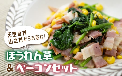 《先行予約》令和7年産【6月~10月発送】奥飛騨山之村 清水さんちのほうれん草180g×2・山之村牧場 スライスベーコン 100g セット 野菜 葉物野菜 ホウレンソウ ほうれんそう 産地直送