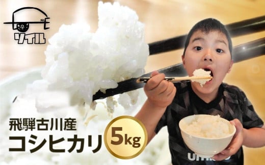 【2025年先行予約】令和7年産 新米 飛騨古川産　特別栽培米　こしひかり 5kg コシヒカリ 新米 お米 米 精米 ごはん ご飯 特A 米不足 飛騨市 ソイル