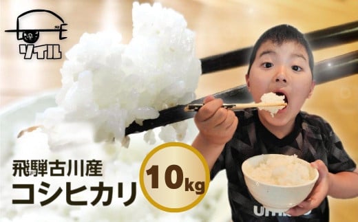 【2025年先行予約】令和7年産 新米 飛騨古川産　特別栽培米　こしひかり 10kg コシヒカリ 新米 お米 米 精米 ごはん ご飯 特A 米不足  ソイル
