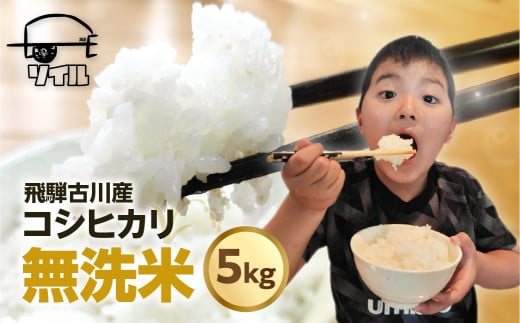 【先行予約】令和7年産 米 無洗米 こしひかり 5kg 特別栽培米 岐阜県産 コシヒカリ 岐阜 飛騨 お米 コシヒカリ 特A ソイル