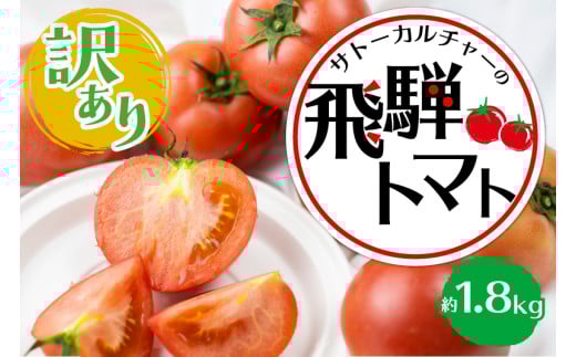《2026年先行予約》【訳あり】飛騨トマト 約1.8kg 6月以降順次発送 産地直送 トマト 夏野菜 野菜 5000円 飛騨市